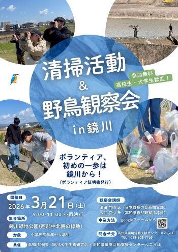 �C���[�W�摜