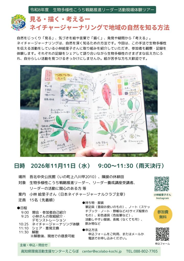 �C���[�W�摜