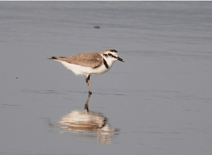 �����{�s