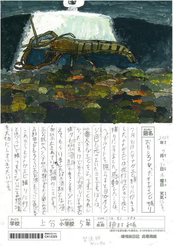 おもしろかったテナガエビ捕り